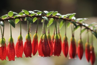 广州天河区1私人快速借钱网，轻松解决资金难题