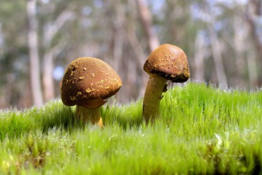 广州天河区1私人老板放款：轻松融资的秘密通道